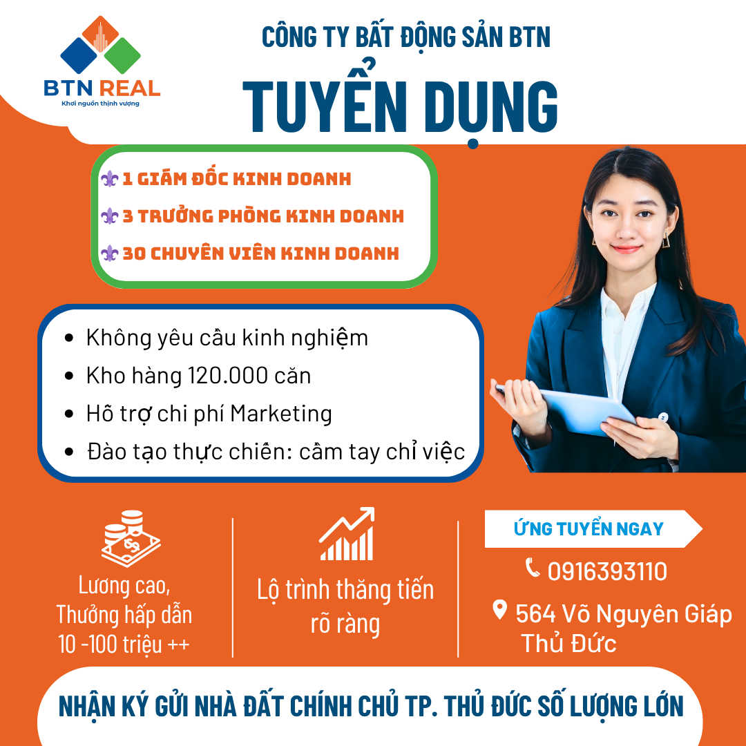 lĩnh vực hoạt động